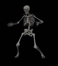 Image of a Bat Character